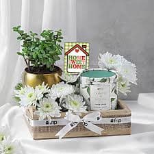 Home & Gift